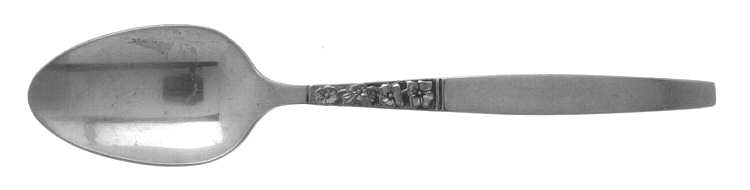INS136 (STAINLESS) Teaspoon