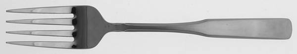 INS150 (Stainless) Individual Salad Fork