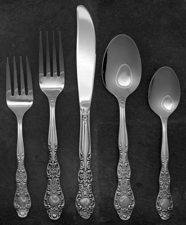 INS154 (STAINLESS) 5 Piece Place Setting