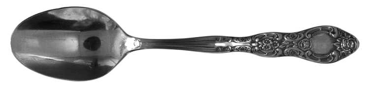 INS154 (STAINLESS) Teaspoon
