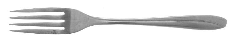 INS166 (STAINLESS) Fork