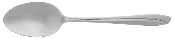 INS166 (STAINLESS) Tablespoon (Serving Spoon)
