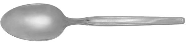 INS179 (STAINLESS) Tablespoon (Serving Spoon)