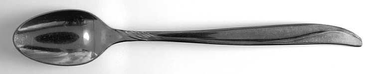 INS183 (STAINLESS) Iced Tea Spoon by International Silver