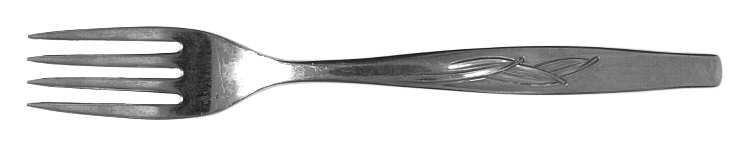 INS208 (STAINLESS) Fork