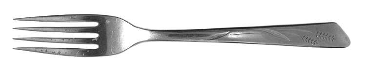 INS209 (STAINLESS) Fork