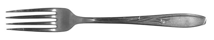 INS216 (STAINLESS) Fork
