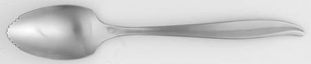 INS4 (STAINLESS) Fruit/Orange Spoon