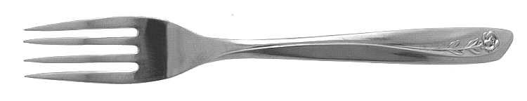 INS55 (STAINLESS) Fork