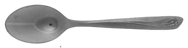 INS55 (STAINLESS) Teaspoon