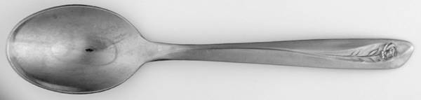 INS55 (STAINLESS) Place/Oval Soup Spoon by International Silver