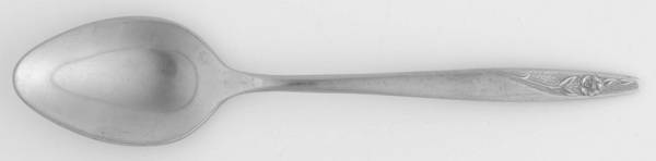 INS88 (STAINLESS) Teaspoon by International Silver