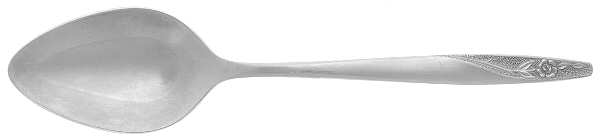 INS88 (STAINLESS) Place/Oval Soup Spoon