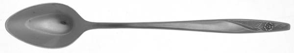 INS88 (STAINLESS) Iced Tea Spoon