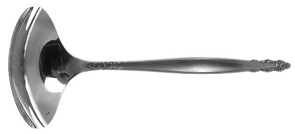Inspiration (Stainless) Solid Gravy Ladle