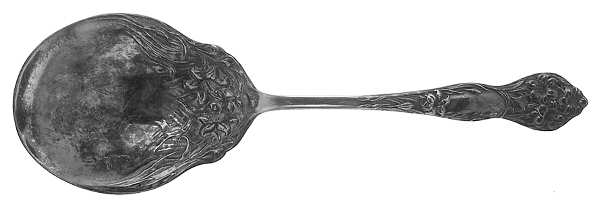 Lilyta (Silverplate, 1909, No Monograms) Solid Smooth Casserole Spoon