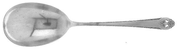 Lovely Lady (Silverplate, No Monos) Solid Smooth Casserole Spoon by International Silver