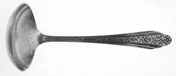 Modern Rose (Silverplate, 1949) Solid Gravy Ladle