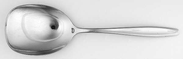 New Dawn (Stainless) Solid Smooth Casserole Spoon