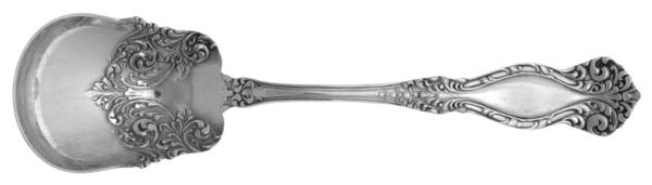 Newton-Raleigh (Silverplate) Sugar Spoon