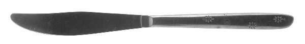 Night Sky (Stainless) Modern Solid Knife