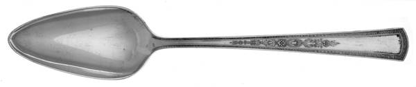 Orleans (Silverplate, 1927) Fruit/Orange Spoon