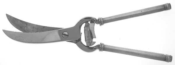 Pantheon (Sterling, 1920, No Monograms) Poultry Shears with Stainless Blades