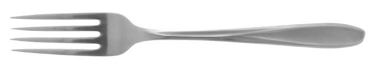 Panorama (Stainless) Fork