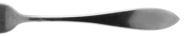 Patria (Sterling, 1918) by International Silver
