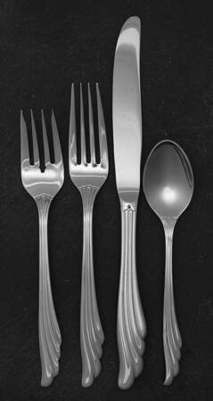 Polara (Stainless) 4 Piece Place Setting by International Silver