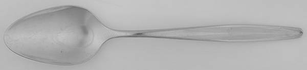 Polara (Stainless, Deluxe) Teaspoon