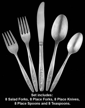 Radiant Rose (Stainless) 40 Piece Set