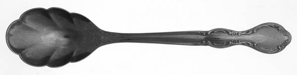Royal Manor (Stainless) Sugar Shell Spoon