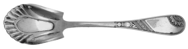 Saratoga-Angelo (Silverplate, 1883) Sugar Shell Spoon