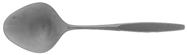 Saturna (Stainless) Solid Smooth Casserole Spoon