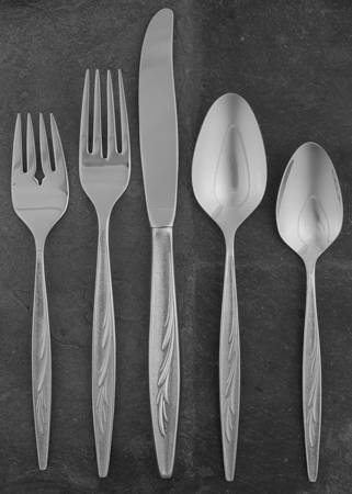 Sea Island (Stainless) 5 Piece Place Setting
