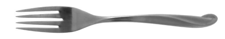 Space (Stainless) Fork