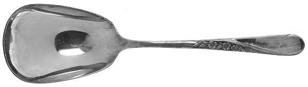 Spring Flower (Silverplate, 1956) Solid Smooth Casserole Spoon