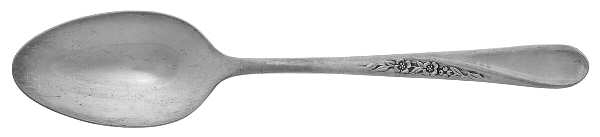 Spring Flower (Silverplate, 1956) Youth Spoon