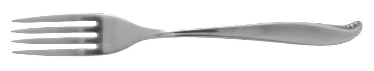 Spindrift (Stainless) Fork