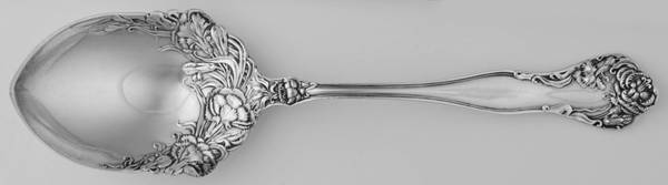 Stratford (Sterling, 1902, No Monograms) Preserve Spoon