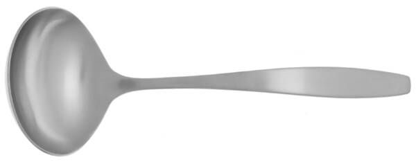 Today (Stainless) Solid Gravy Ladle by International Silver