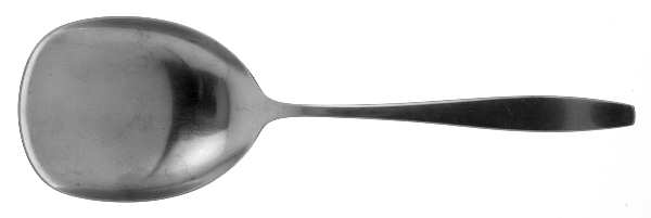 Today (Stainless) Solid Smooth Casserole Spoon by International Silver