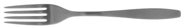 Today (Stainless) Fork