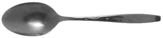 Tonight (Stainless) Tablespoon (Serving Spoon)