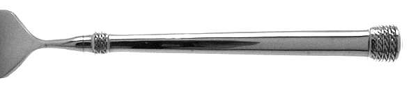 Triumph (Stainless) by International Silver