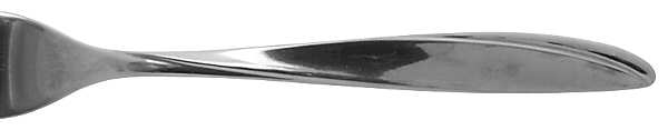 Ventura (Stainless) by International Silver