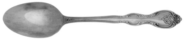 Verona (Stainless) Tablespoon (Serving Spoon)
