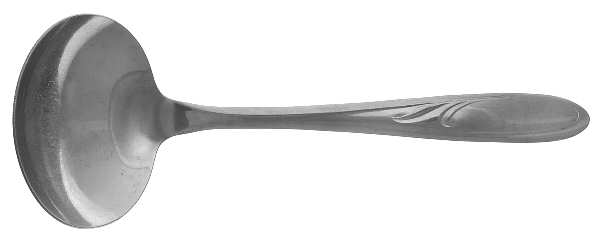 Vibrant (Stainless) Solid Gravy Ladle