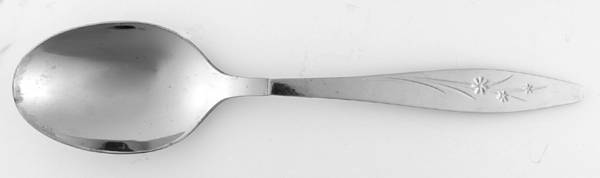 Windflower (Stainless) Tablespoon (Serving Spoon)